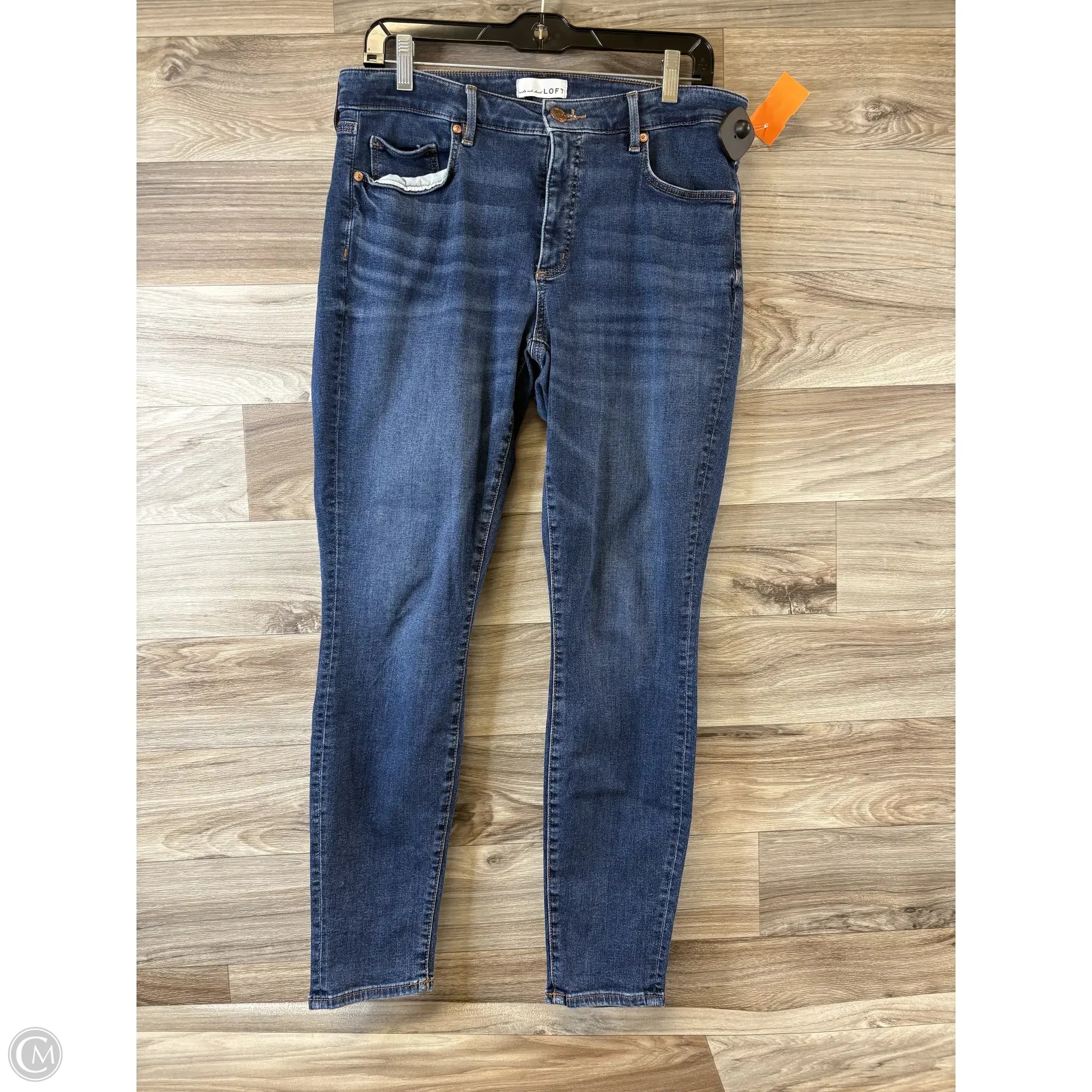 Hipster Men's JeansJeans Skinny By Loft In Blue Denim, Size: 10