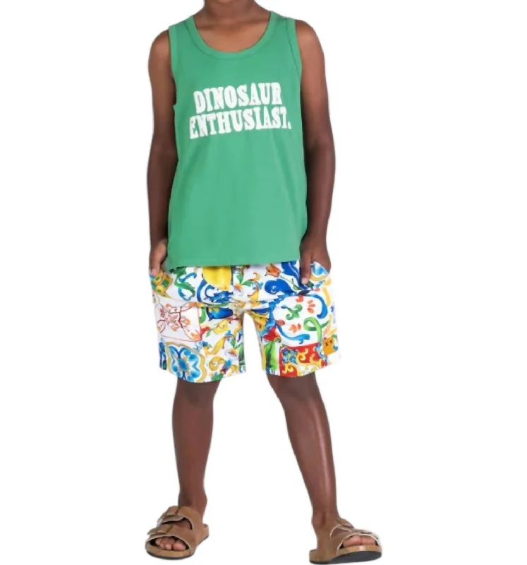 Men's Weather-Resistant ShortsBoy's Sicily Boardshorts In Multi Color