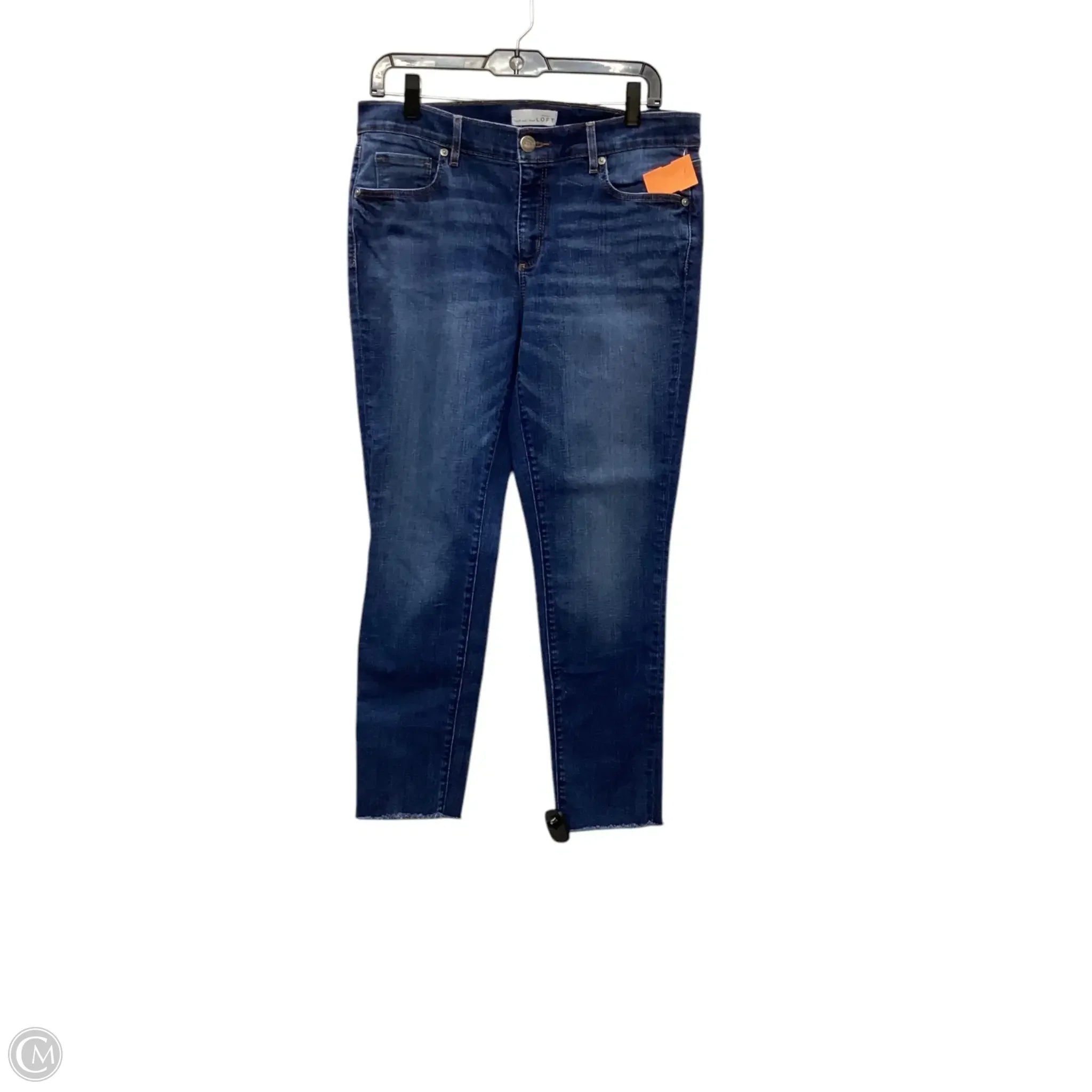 Casual Ripped Men's JeansJeans Skinny By Loft In Blue Denim, Size: 10