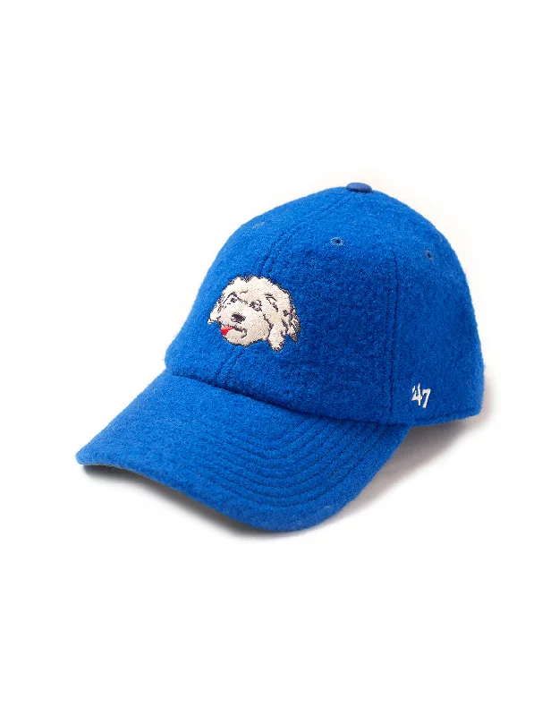 Comfortable Fisherman HatsSHAGGY DOG BASEBALL CAP - ROYAL